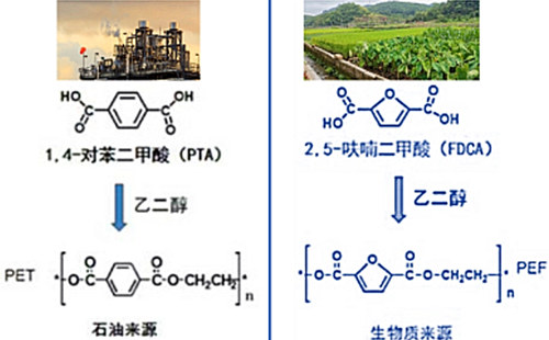 Biobased chemical production factory